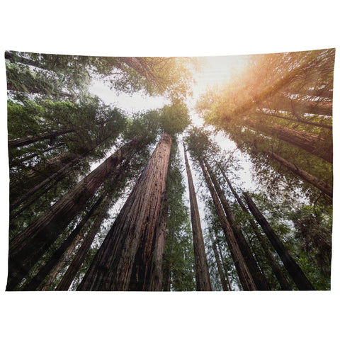 Nature Magick Redwood Forest Sky Tapestry