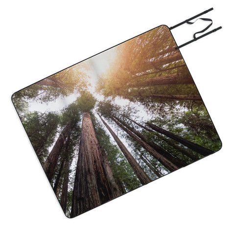 Nature Magick Redwood Forest Sky Picnic Blanket