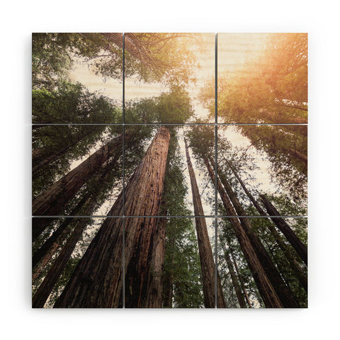 Nature Magick Redwood Forest Sky Wood Wall Mural