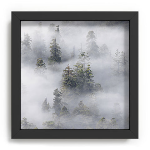 Nature Magick Redwood National Park Mist Recessed Framing Square