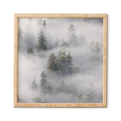 Nature Magick Redwood National Park Mist Framed Wall Art