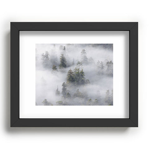 Nature Magick Redwood National Park Mist Recessed Framing Rectangle