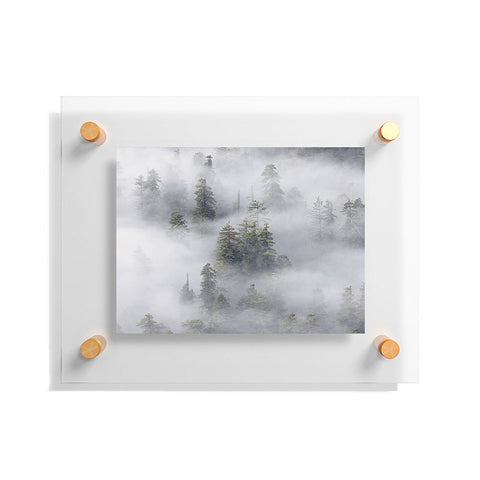 Nature Magick Redwood National Park Mist Floating Acrylic Print