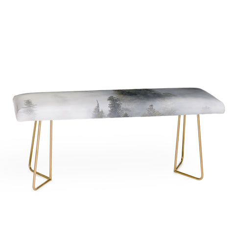 Nature Magick Redwood National Park Mist Bench