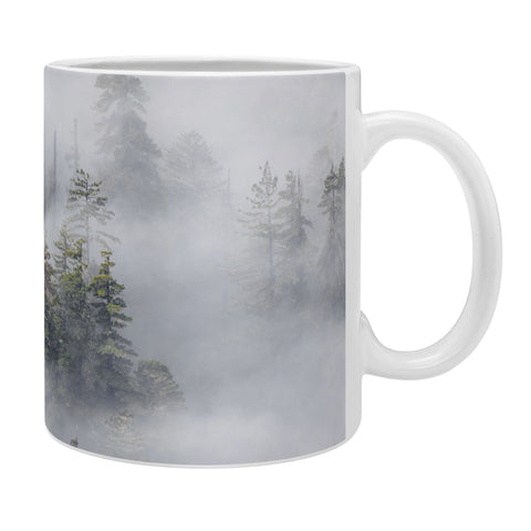 Nature Magick Redwood National Park Mist Coffee Mug