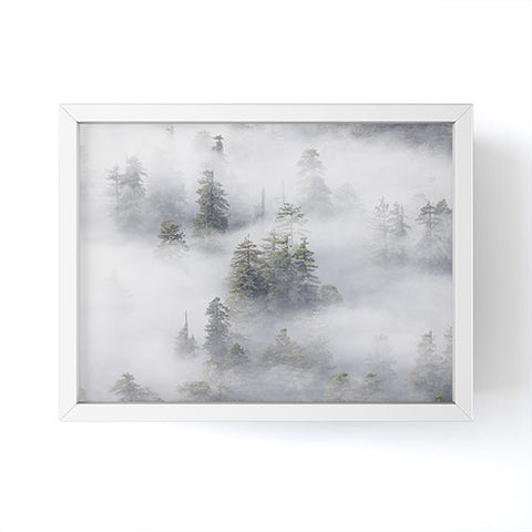 Nature Magick Redwood National Park Mist Framed Mini Art Print