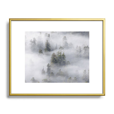 Nature Magick Redwood National Park Mist Metal Framed Art Print