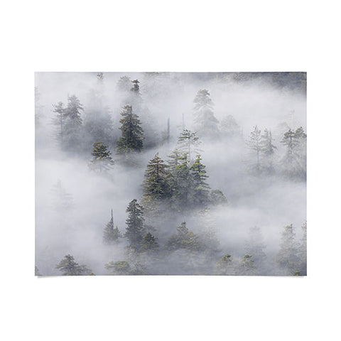 Nature Magick Redwood National Park Mist Poster