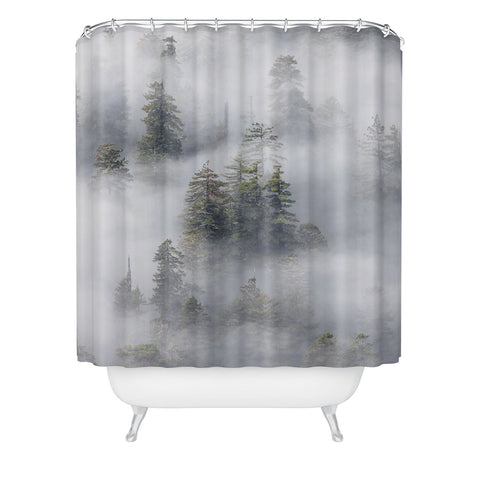 Nature Magick Redwood National Park Mist Shower Curtain