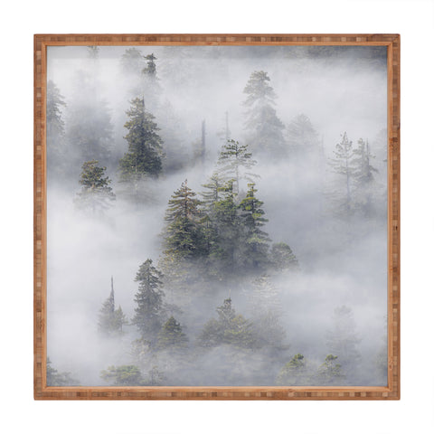 Nature Magick Redwood National Park Mist Square Tray