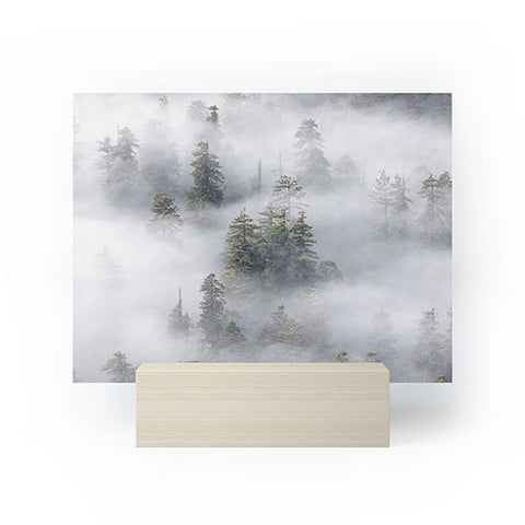 Nature Magick Redwood National Park Mist Mini Art Print