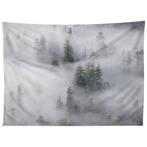 Nature Magick Redwood National Park Mist Tapestry