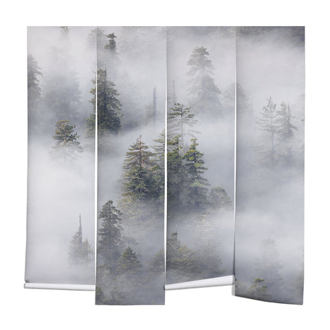 Nature Magick Redwood National Park Mist Wall Mural