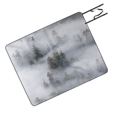 Nature Magick Redwood National Park Mist Picnic Blanket