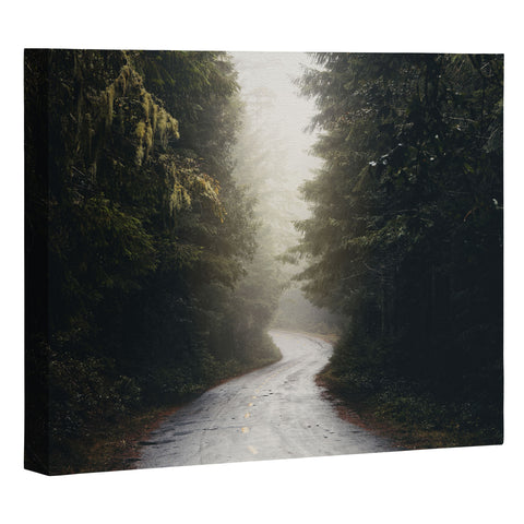 Nature Magick Redwood Road Forest Fog Art Canvas