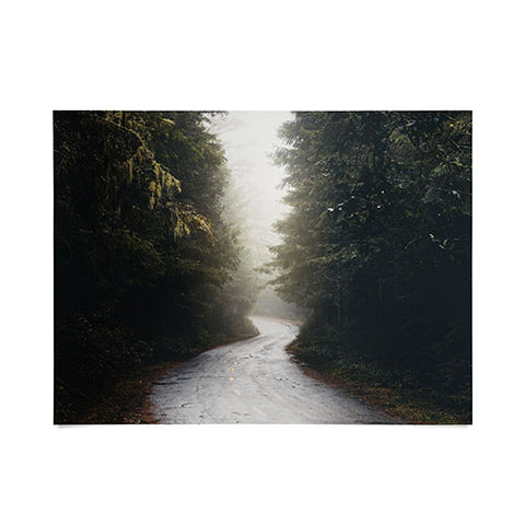 Nature Magick Redwood Road Forest Fog Poster