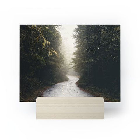 Nature Magick Redwood Road Forest Fog Mini Art Print