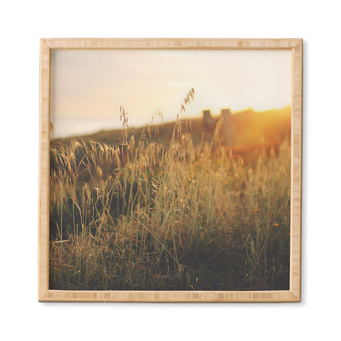 Ninasclicks Golden Beach vegetation at sunset Framed Wall Art