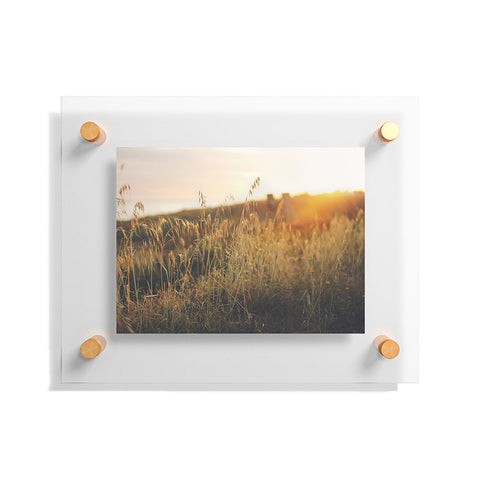 Ninasclicks Golden Beach vegetation at sunset Floating Acrylic Print