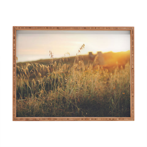 Ninasclicks Golden Beach vegetation at sunset Rectangular Tray