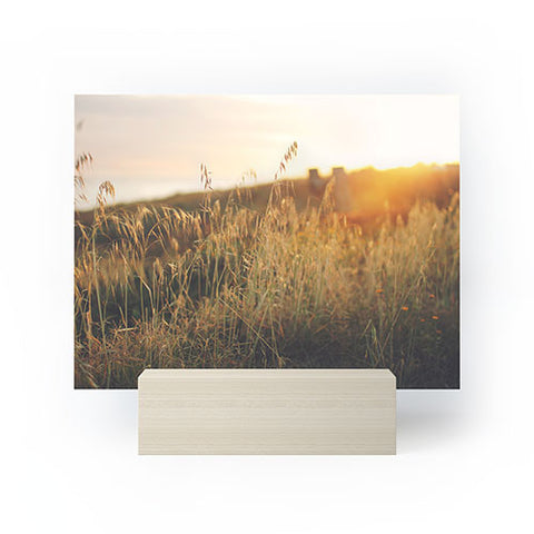 Ninasclicks Golden Beach vegetation at sunset Mini Art Print