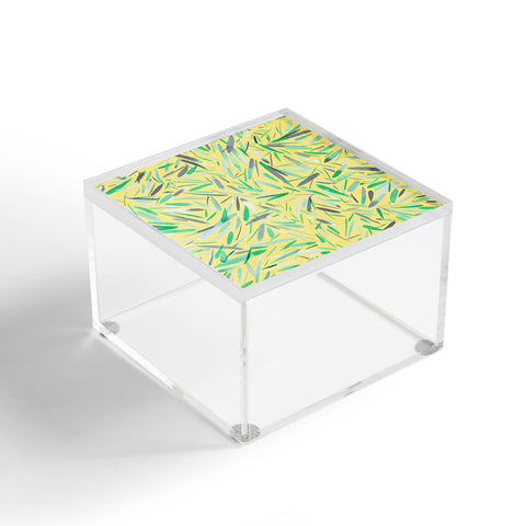 Ninola Design Yellow spring rain stripes abstract Acrylic Box