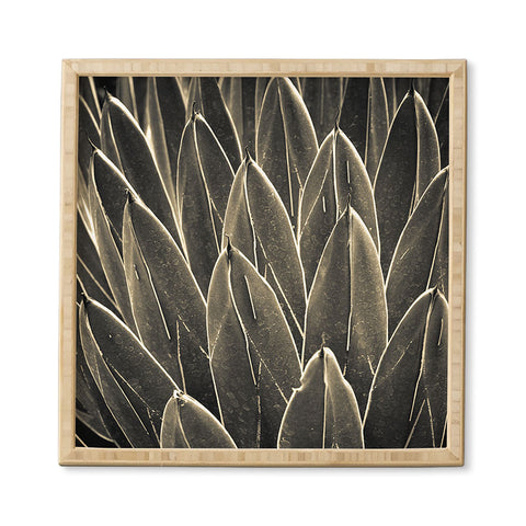 Olivia St Claire A Little Brightness in the Dark Framed Wall Art