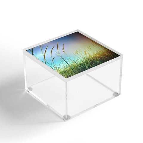 Olivia St Claire Beach Vibes Acrylic Box