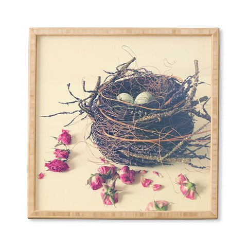 Olivia St Claire Bird Nest Framed Wall Art