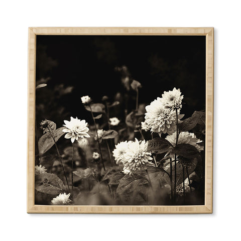 Olivia St Claire Black Dahlia Framed Wall Art