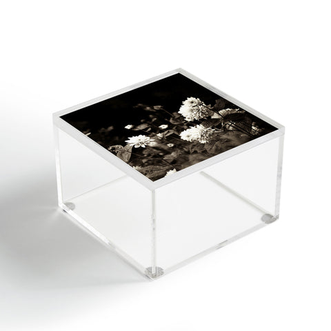 Olivia St Claire Black Dahlia Acrylic Box