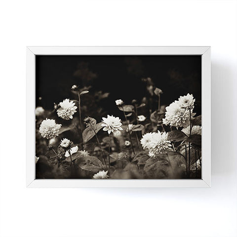 Olivia St Claire Black Dahlia Framed Mini Art Print