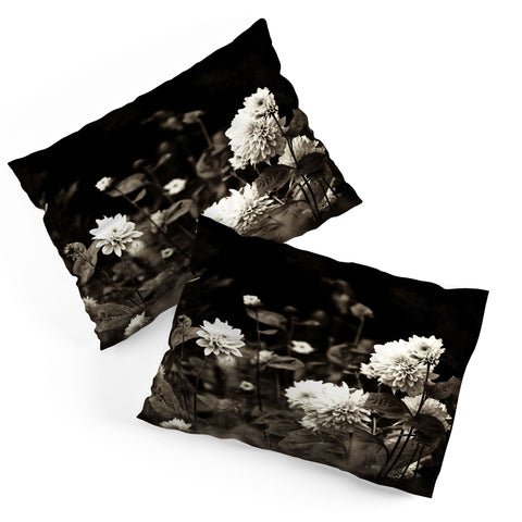 Olivia St Claire Black Dahlia Pillow Shams
