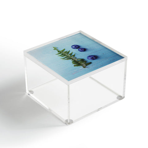 Olivia St Claire Blueberries and Fern Acrylic Box