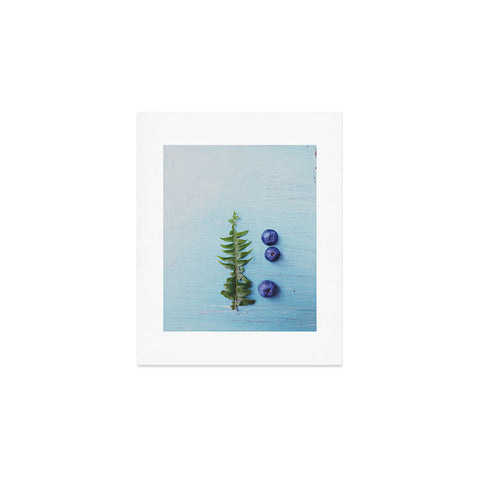 Olivia St Claire Blueberries and Fern Art Print