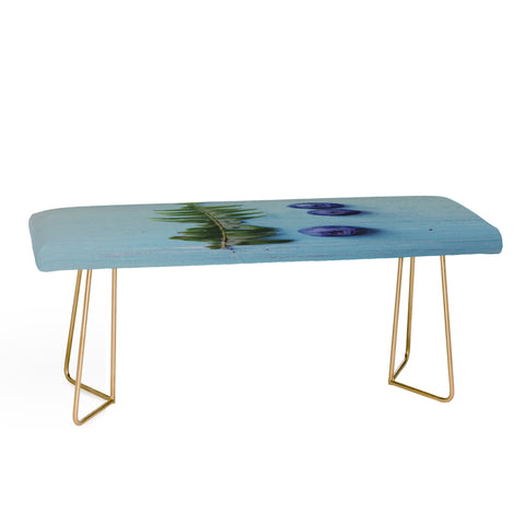 Olivia St Claire Blueberries and Fern Bench