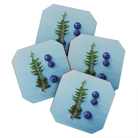 Olivia St Claire Blueberries and Fern Coaster Set