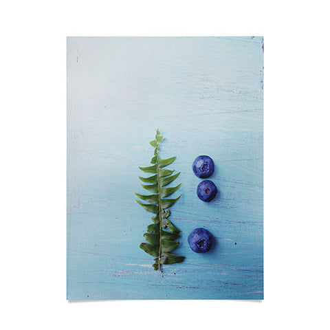 Olivia St Claire Blueberries and Fern Poster