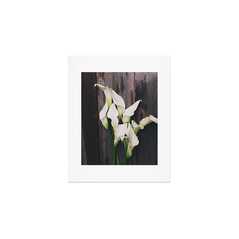 Olivia St Claire Calla Lilies Art Print