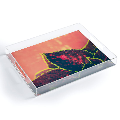 Olivia St Claire Coleus on Red Table Acrylic Tray