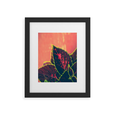 Olivia St Claire Coleus on Red Table Framed Art Print