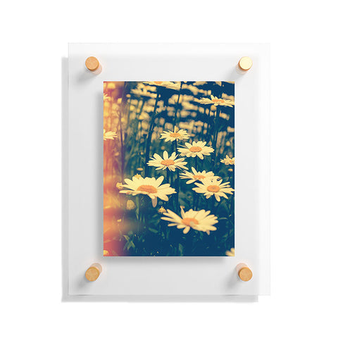 Olivia St Claire Daisies Floating Acrylic Print