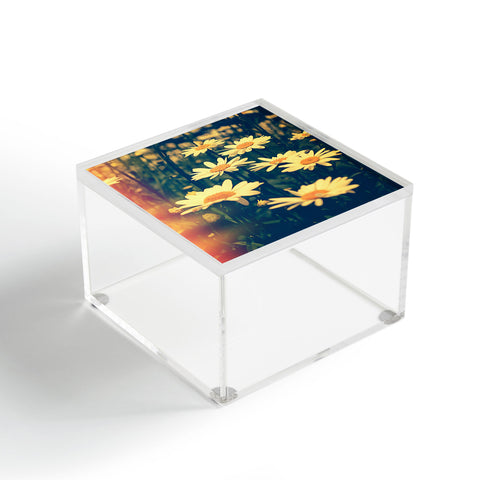 Olivia St Claire Daisies Acrylic Box