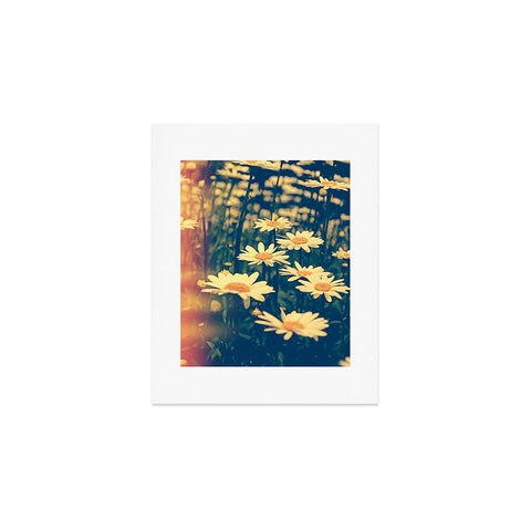 Olivia St Claire Daisies Art Print