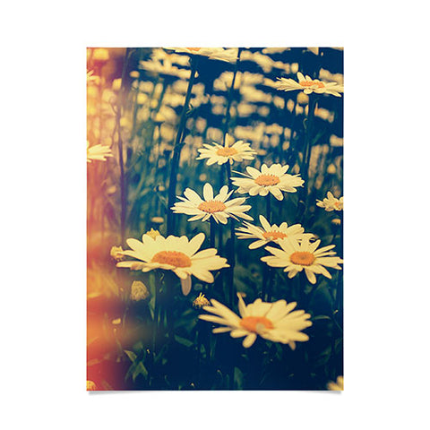Olivia St Claire Daisies Poster
