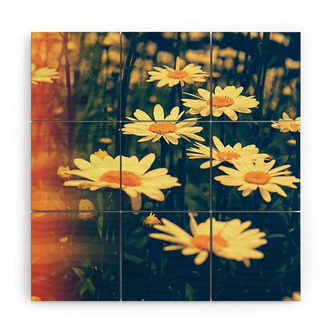 Olivia St Claire Daisies Wood Wall Mural