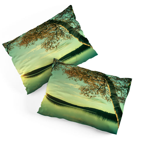 Olivia St Claire Dusk Pillow Shams