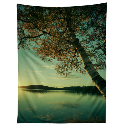 Olivia St Claire Dusk Tapestry