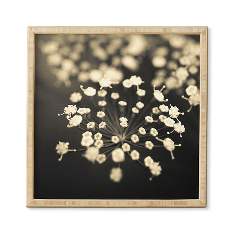 Olivia St Claire Finding Focus Framed Wall Art