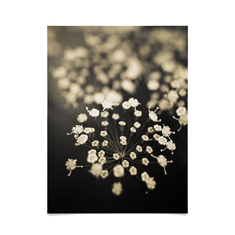 Olivia St Claire Finding Focus Poster